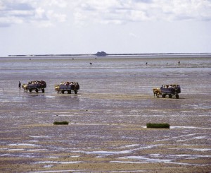 Wattenmeer