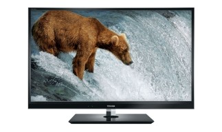 wl863_fish_bear_front