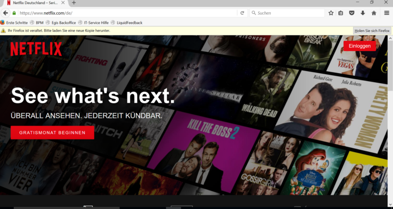 Netflix Neuheiten im Dezember – Fuller House und Trollhunters