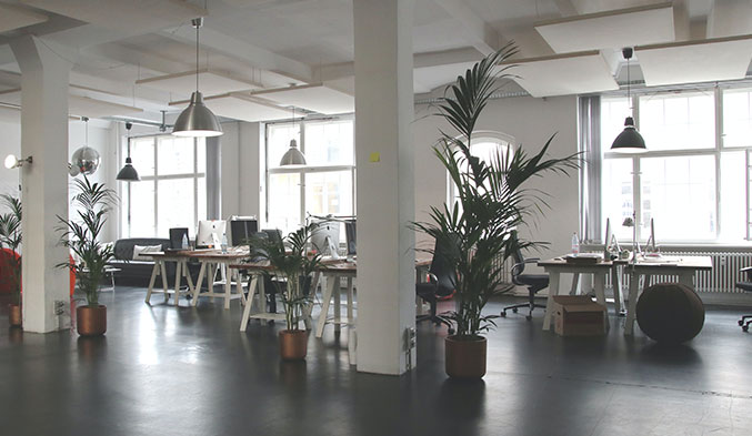 Home-Office-Pflicht: Leeres Büro, leere Schreibtische, Grünpflanzen. Bild: Pexels/Marc Mueller