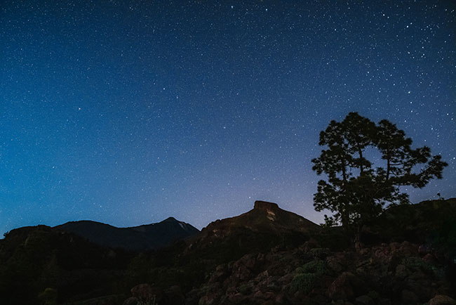 Sternbilder erkennen: Blick in den Nachthimmel mit vielen Sternen. Bild: Unsplash/@adrian_infernus