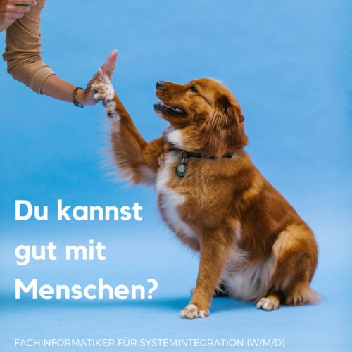 Azubis suchen: Eine Frage, ein Hund der mit einem Menschen abklatscht, der Beruf, der ausgebildet wird – fertig ist die Azubisuche. Bild: Bild: Pexels/Montage: PC-SPEZIALIST