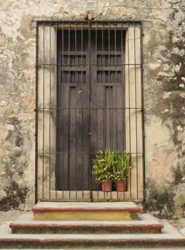Backdoor: Vergitterte Tür. Bild: Pexels/@carmen-lorena-lopez-cabrera-1917873