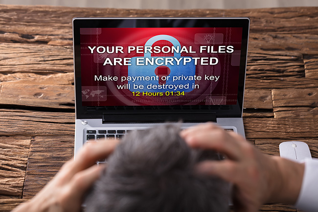 Big Head: Nahaufnahme einer Geschäftsperson, die auf einen Laptop-Bildschirm schaut, der persönliche Dateien und verschlüsselten Text zeigt. Bild: ©Andrey Popov/stock.adobe.com
