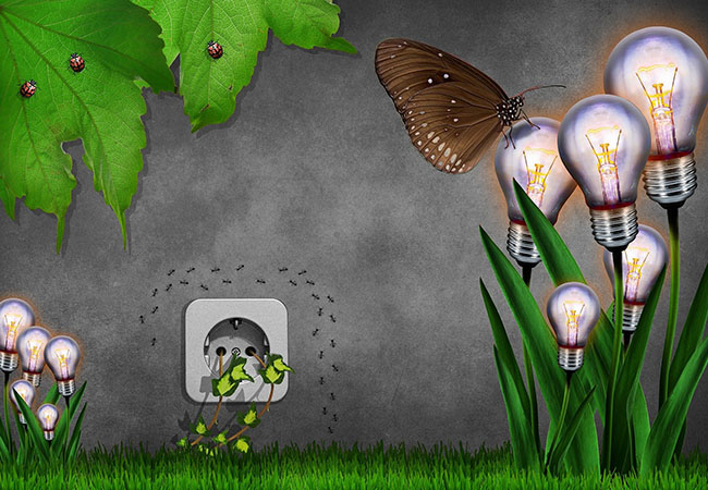 Strom sparen: Eine Wand mit Steckdose, aus der Pflanzen wachsen, Blüten an Gräsern als Glühbirnen dargestellt, dazu Marienkäfer, Ameisen und ein Schmetterling. Bild: Pixabay