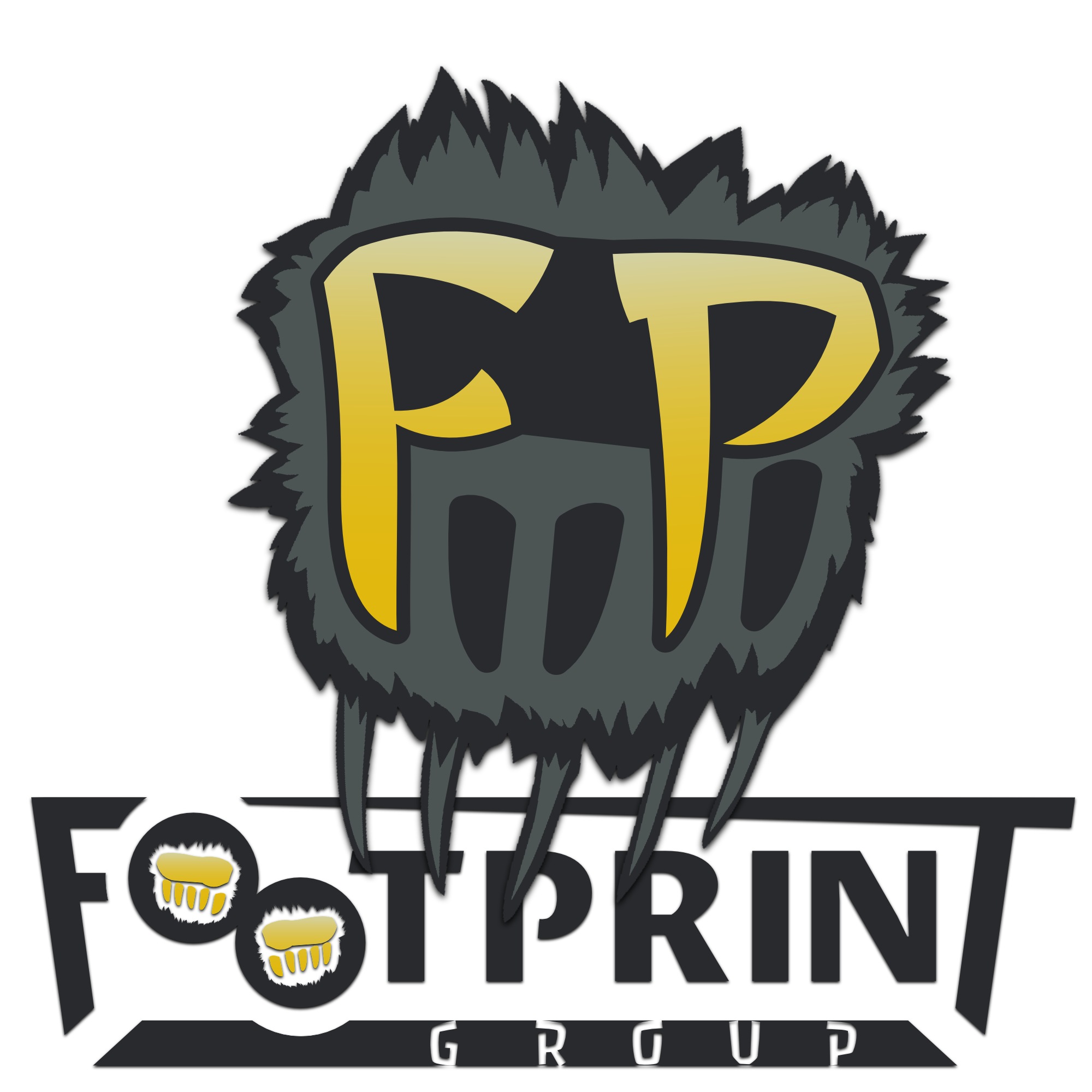 Footprint Group Fabian Schmid