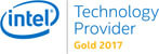 Technology Provider Gold